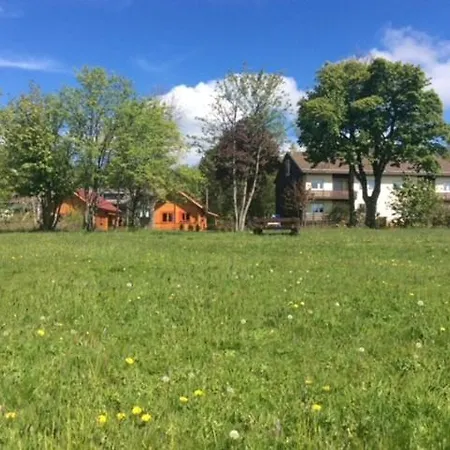 Harzblick 4